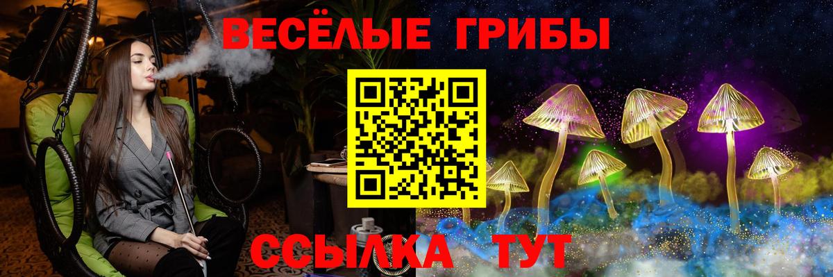Галлюциногенные грибы Cubensis Ахтубинск